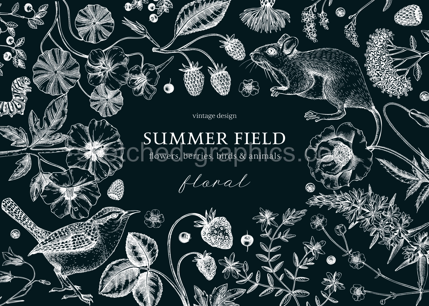 Vintage summer background. Floral banner design. Wildlife sketches on chalkboard. Wildflowers botanical illustration. Hand-drawn field flowers, birds, and animals for  invitation, frame, card. Illustration